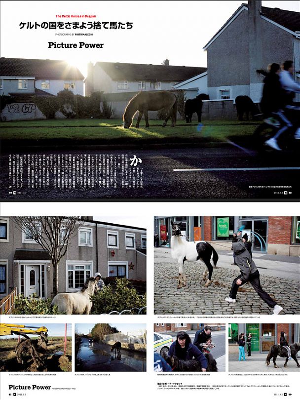 Piotr Małecki: Irish Horses (newsweek JP)